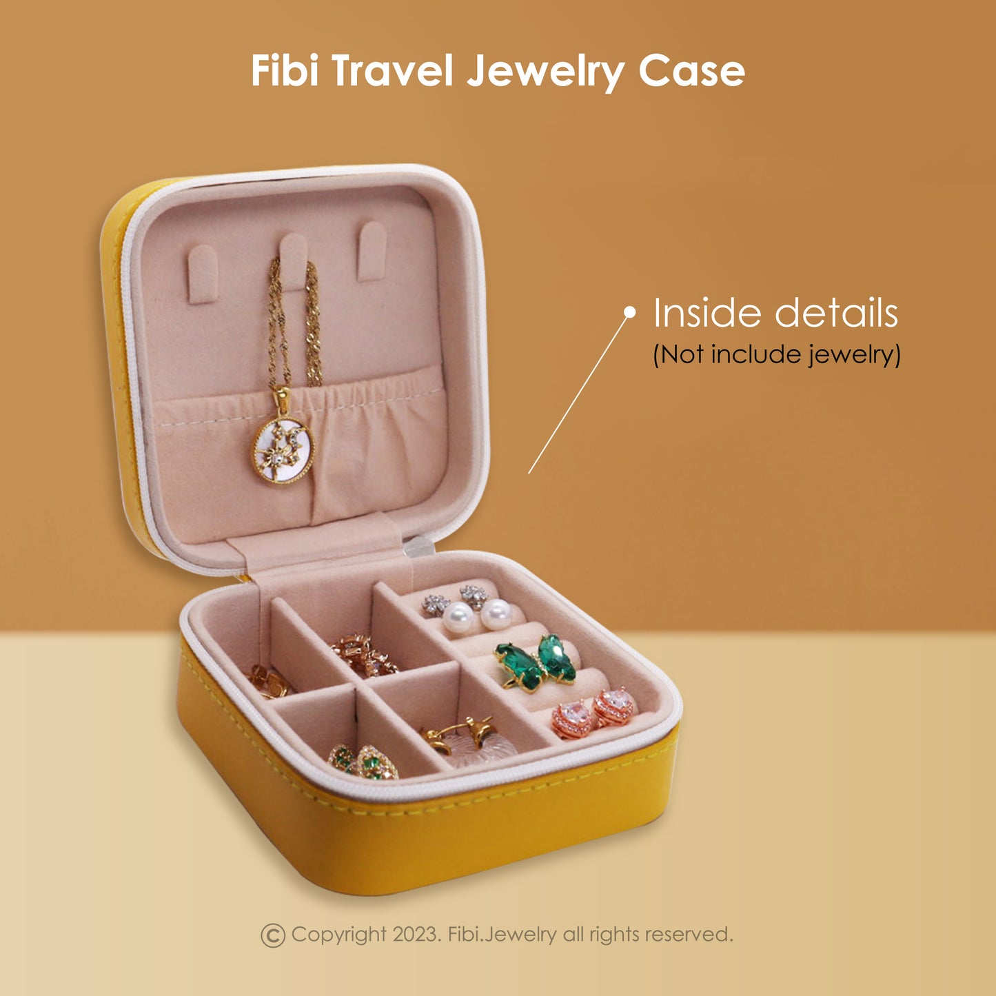 Carrying Travel Jewelry Case