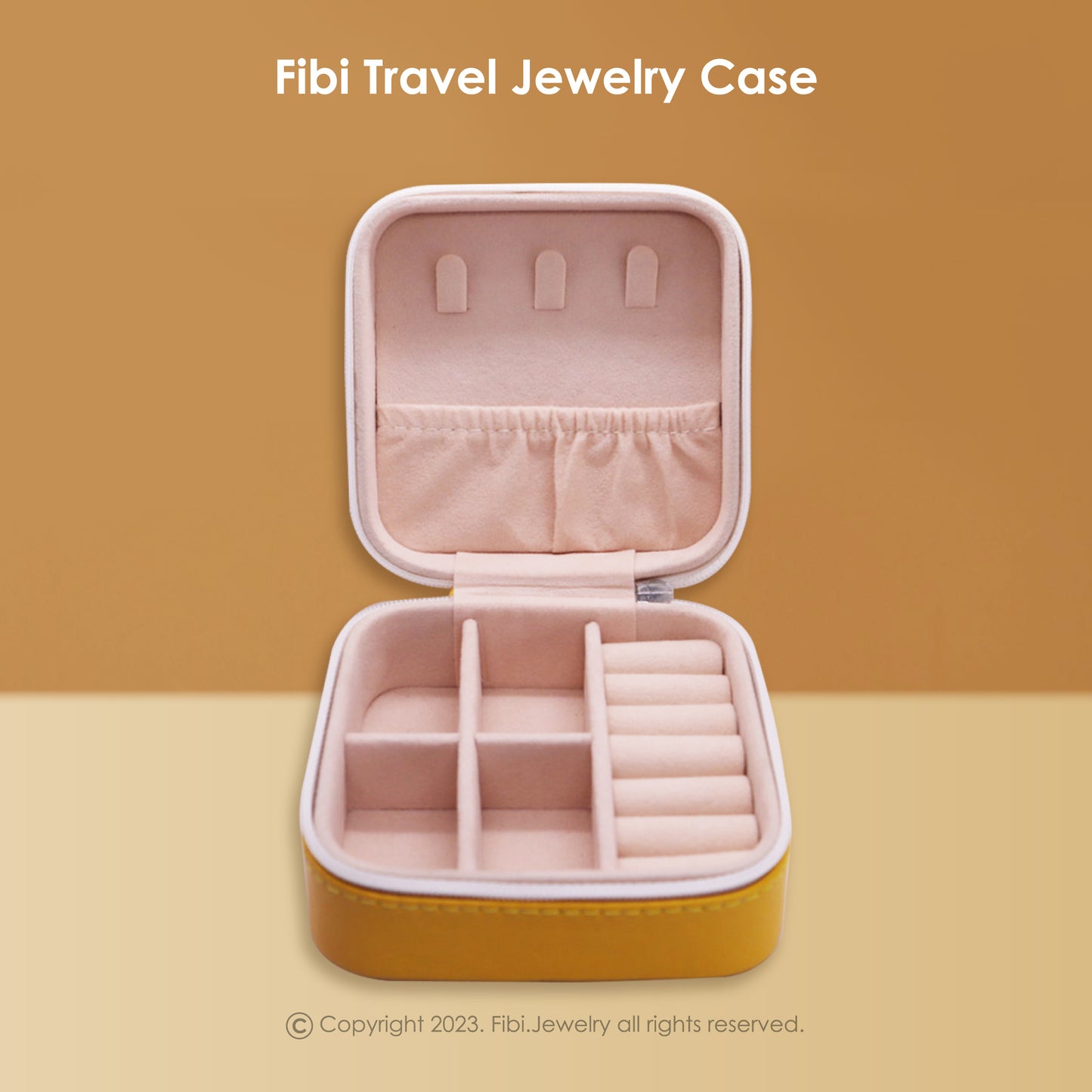 Carrying Travel Jewelry Case