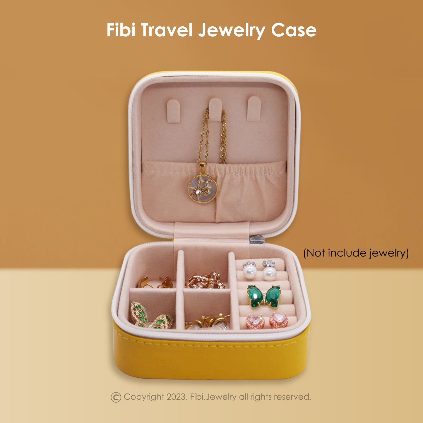 Carrying Travel Jewelry Case